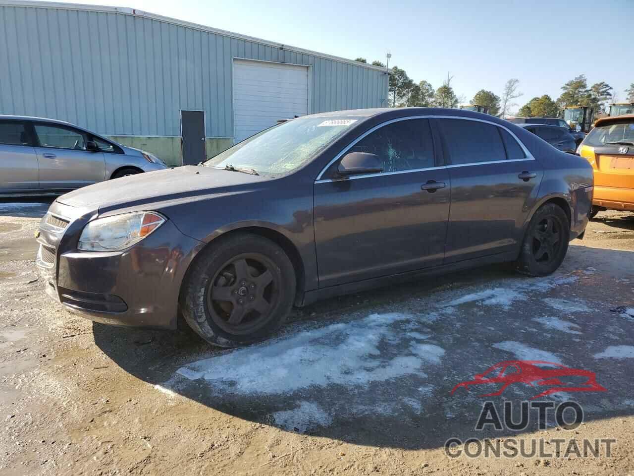 CHEVROLET MALIBU 2010 - 1G1ZA5E06AF282503
