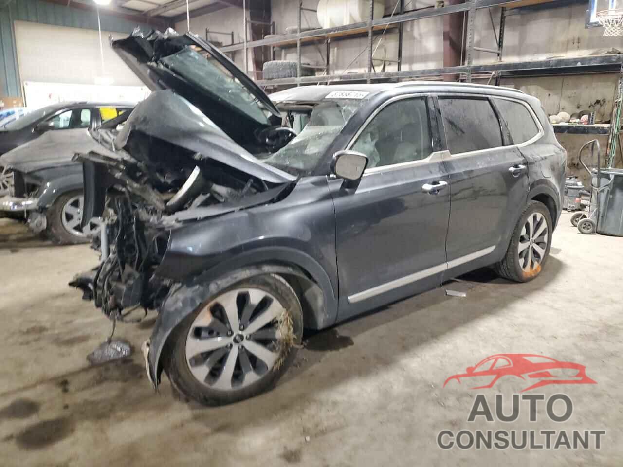 KIA TELLURIDE 2021 - 5XYP64HCXMG108256