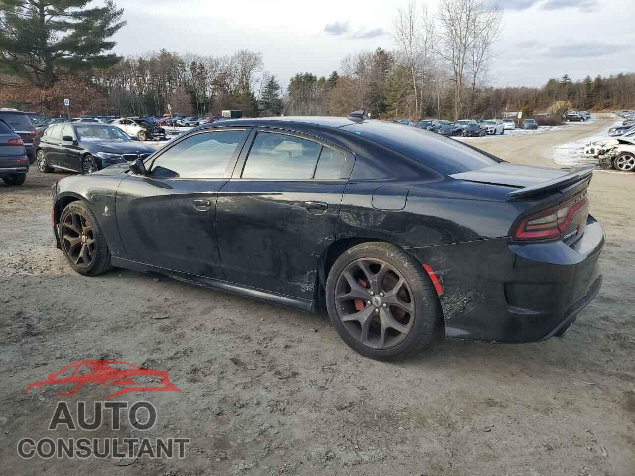 DODGE CHARGER 2019 - 2C3CDXCT3KH513150