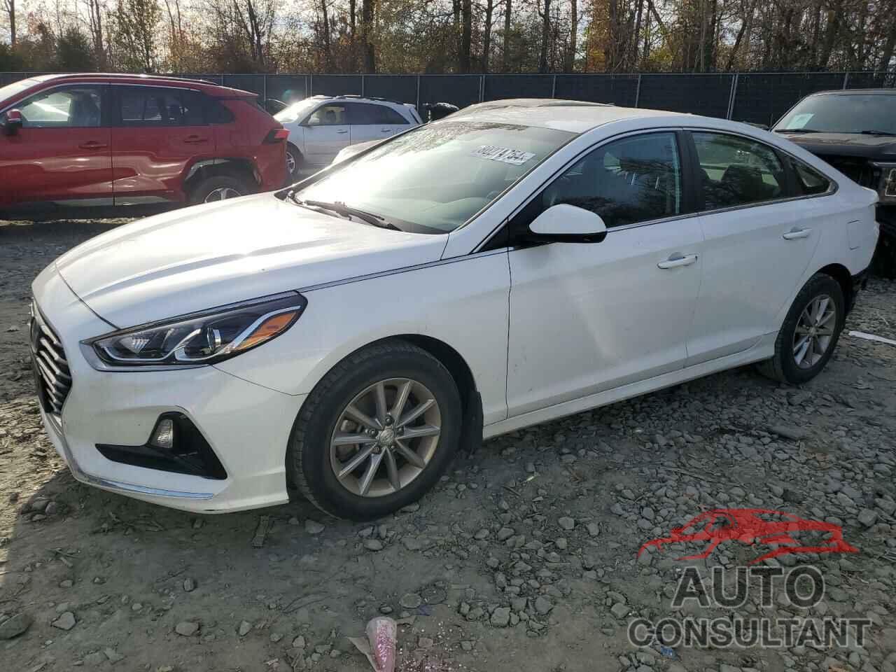 HYUNDAI SONATA 2019 - 5NPE24AF0KH787726