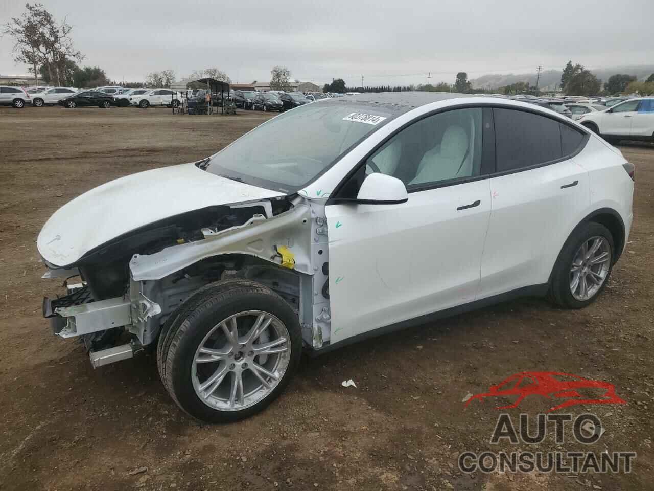 TESLA MODEL Y 2023 - 7SAYGDEE6PF873289