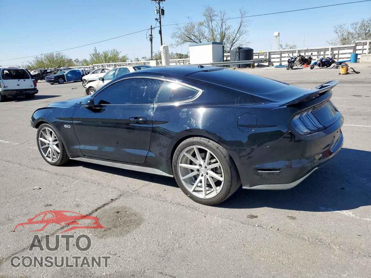 FORD MUSTANG 2019 - 1FA6P8CF8K5166752
