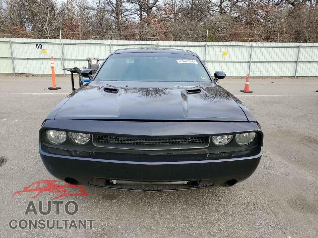 DODGE CHALLENGER 2012 - 2C3CDYAGXCH124888