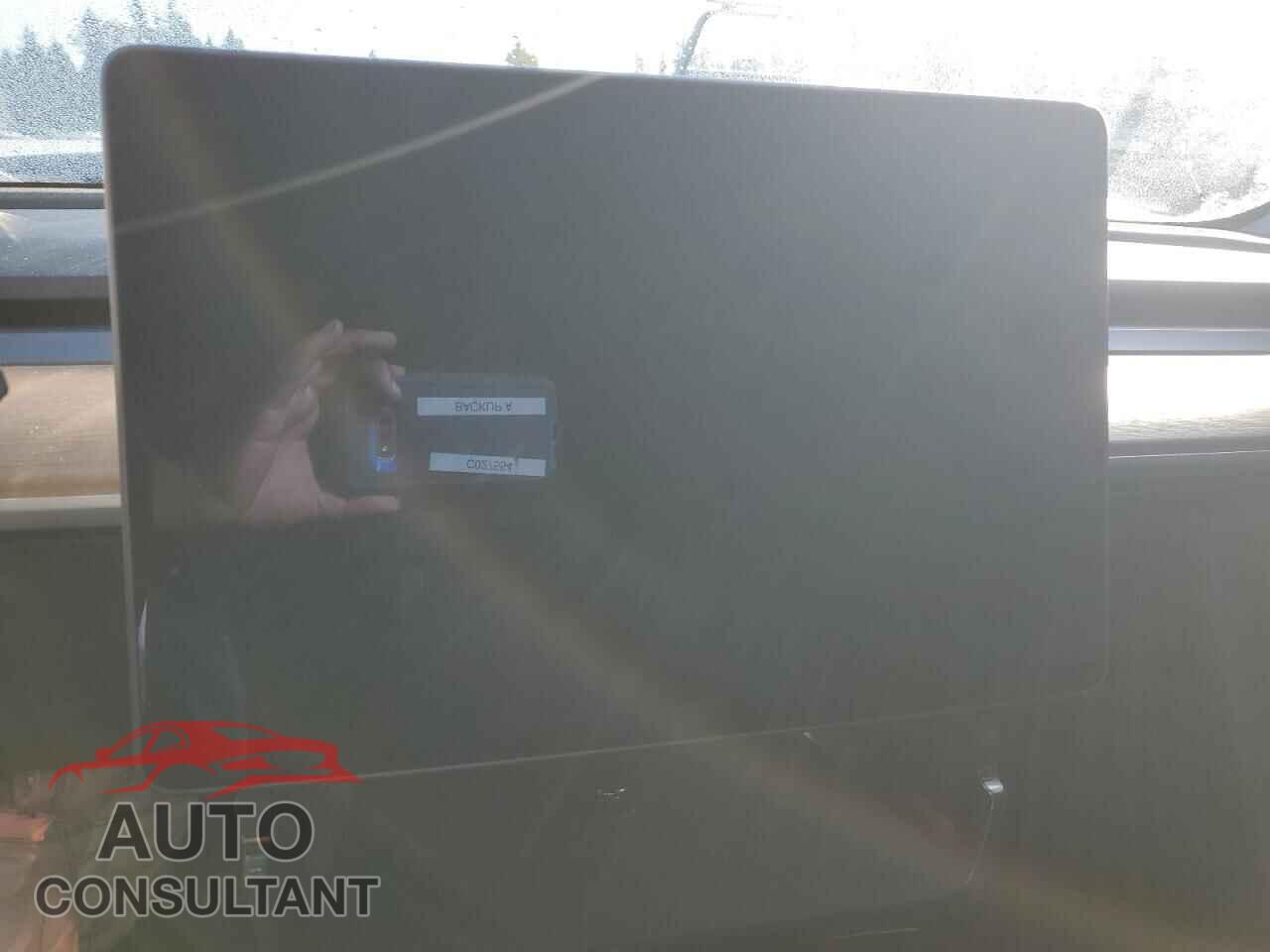 TESLA MODEL 3 2019 - 5YJ3E1EA3KF485843