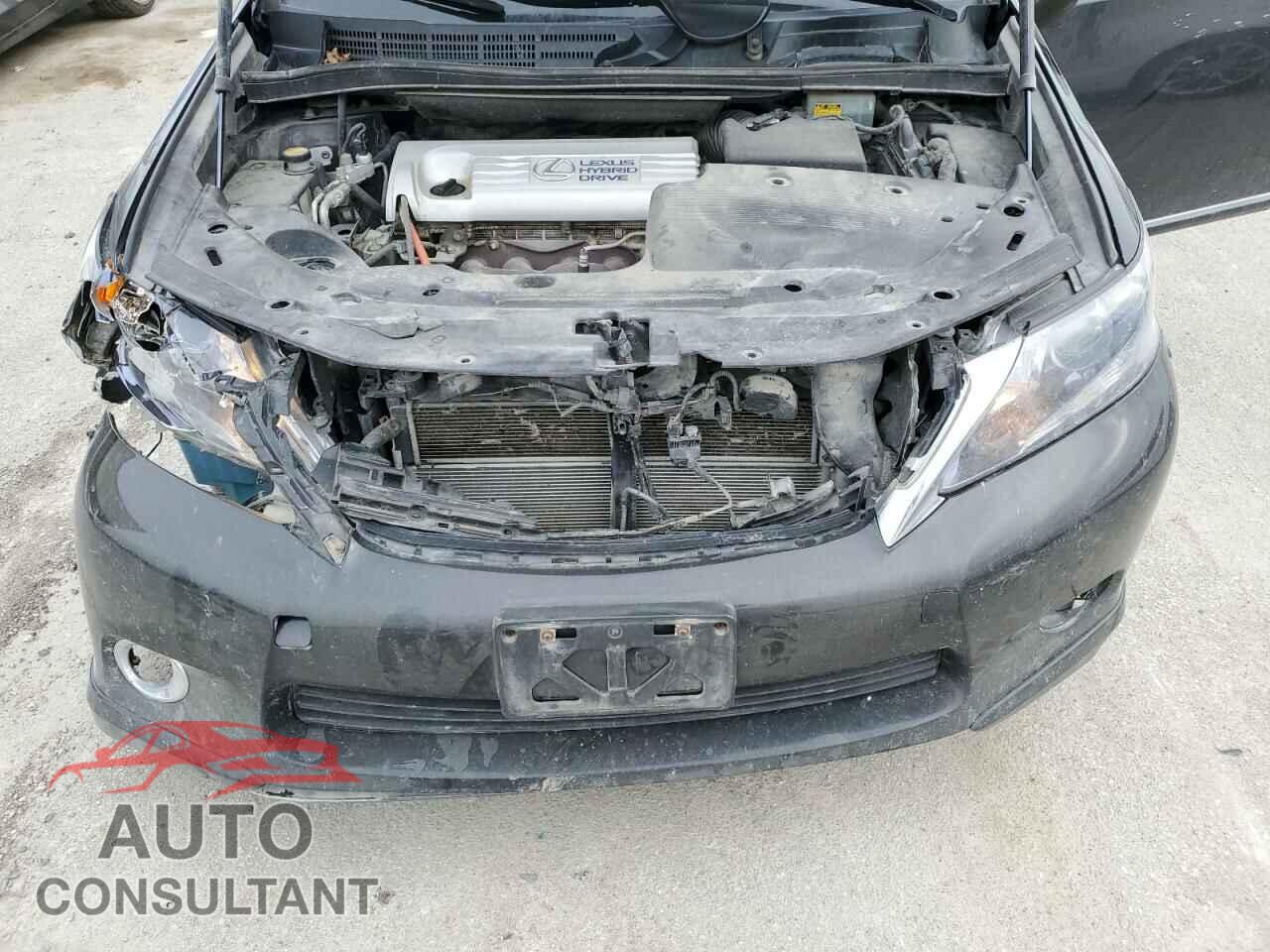 LEXUS HS 2010 - JTHBB1BA9A2016801