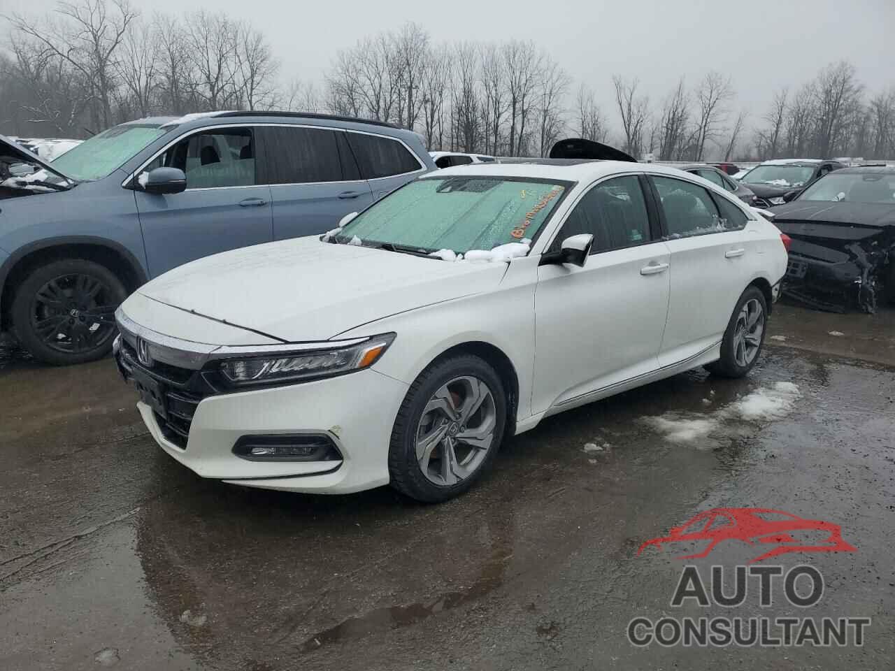 HONDA ACCORD 2019 - 1HGCV1F49KA140593