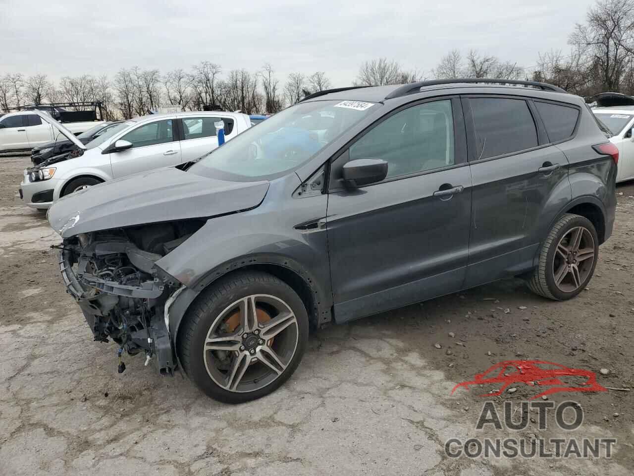 FORD ESCAPE 2019 - 1FMCU9HD0KUA30491