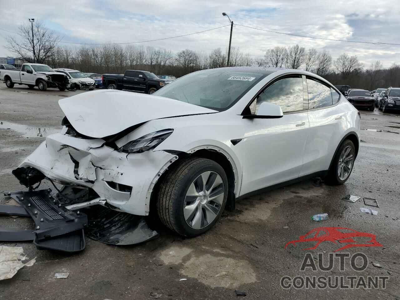 TESLA MODEL Y 2021 - 5YJYGDEE7MF255259