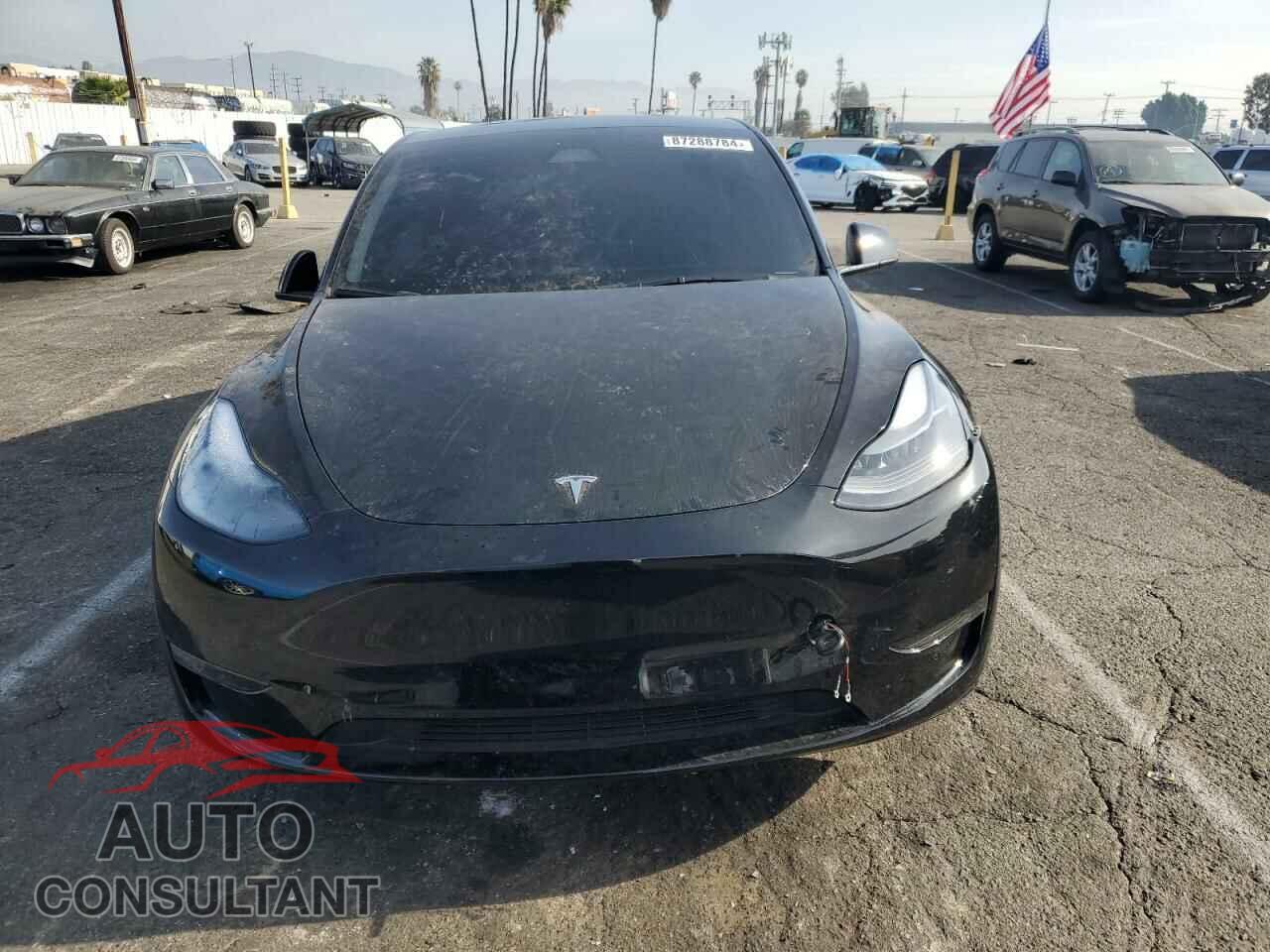 TESLA MODEL Y 2024 - 7SAYGDEE5RF060707