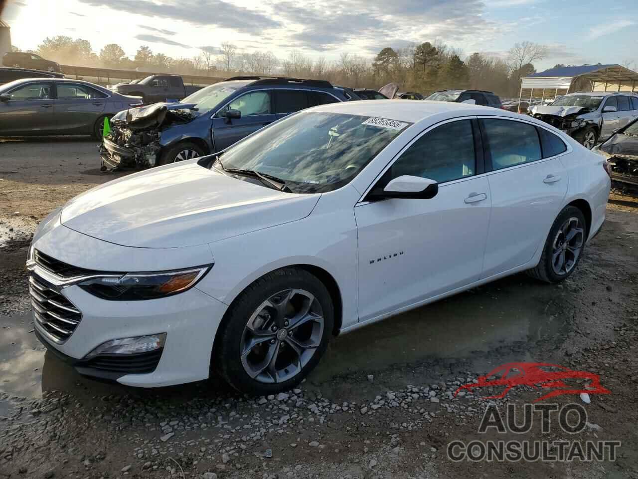 CHEVROLET MALIBU 2022 - 1G1ZD5ST5NF118378
