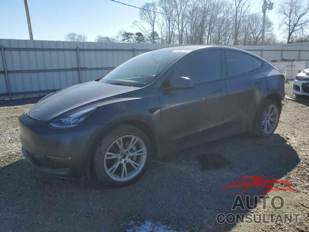TESLA MODEL Y 2022 - 7SAYGAEE5NF430627
