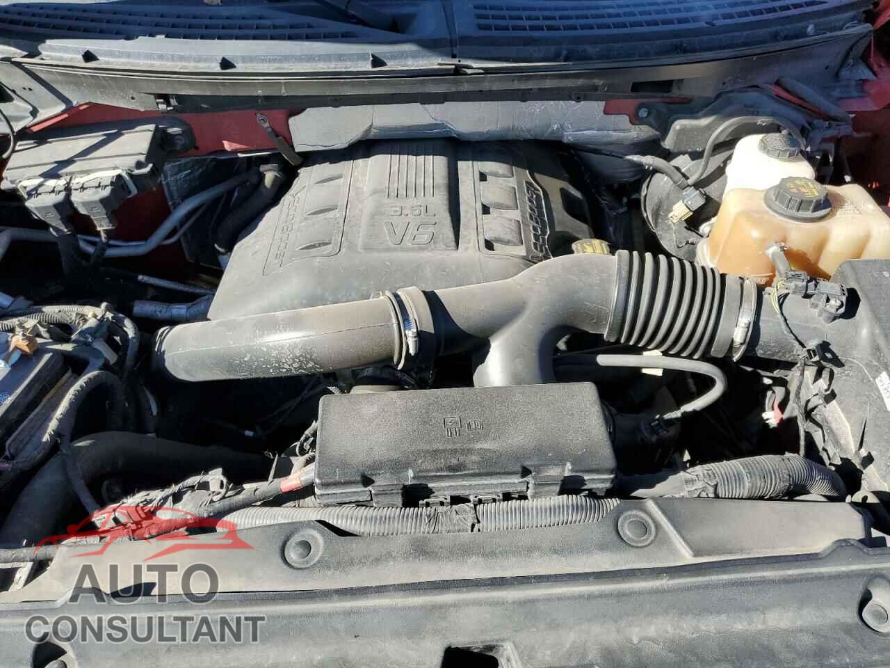 FORD F-150 2013 - 1FTFW1ET4DKF04594