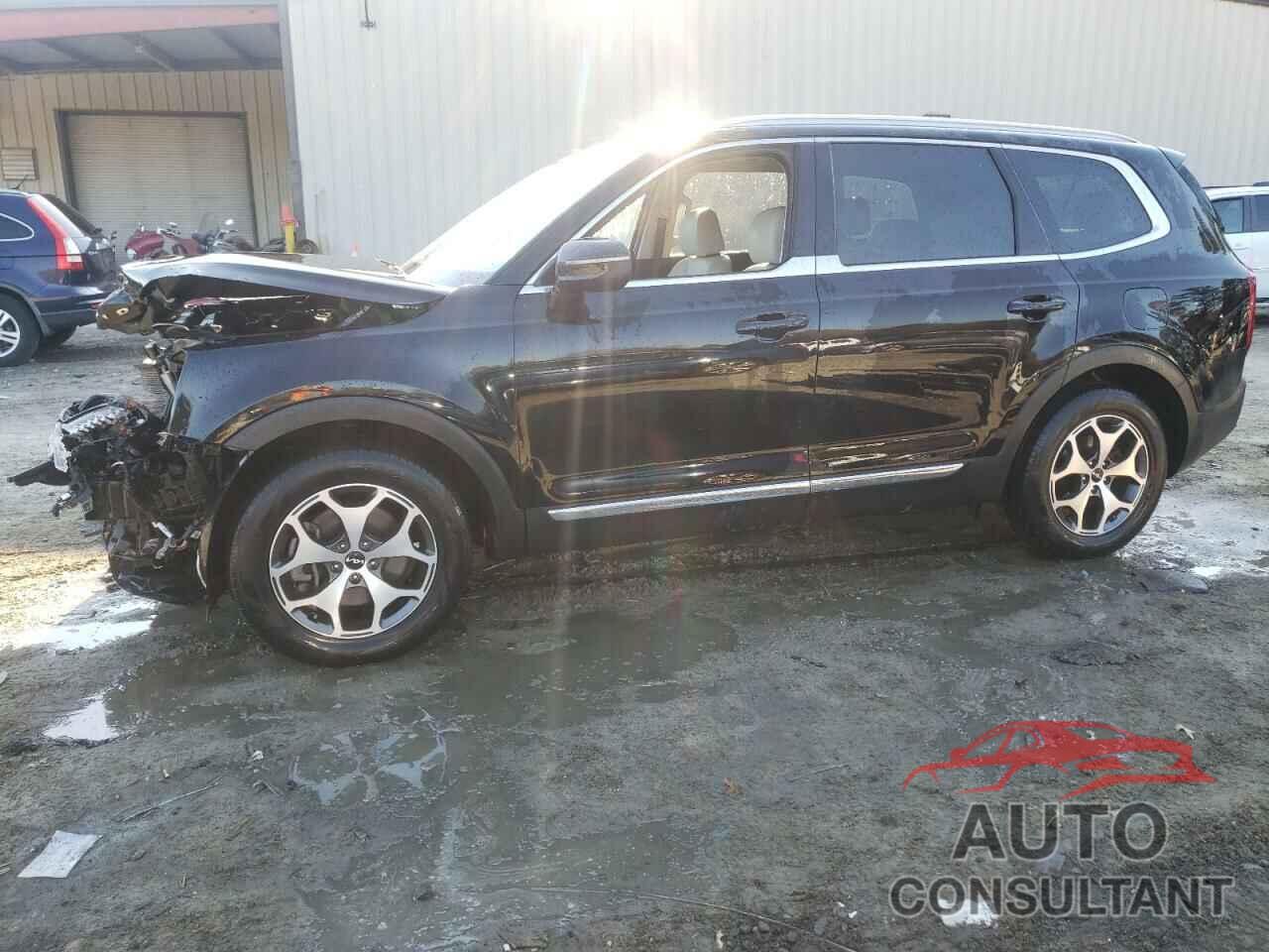 KIA TELLURIDE 2022 - 5XYP34HC7NG204498