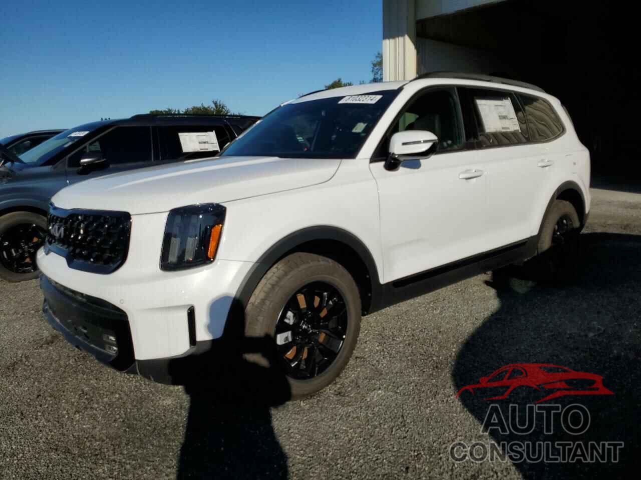 KIA TELLURIDE 2024 - 5XYP5DGC6RG508522