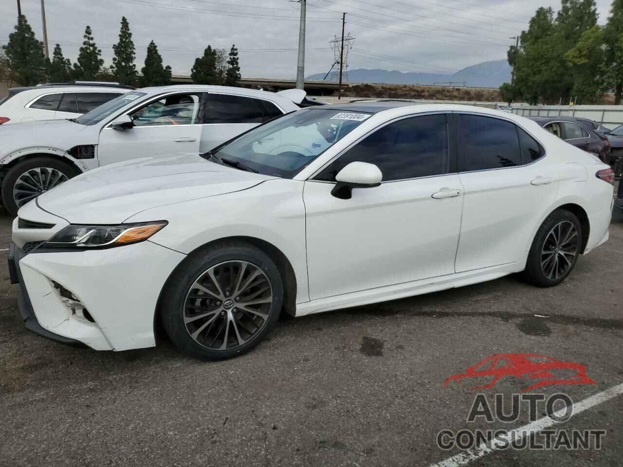 TOYOTA CAMRY 2019 - 4T1B11HKXKU838447