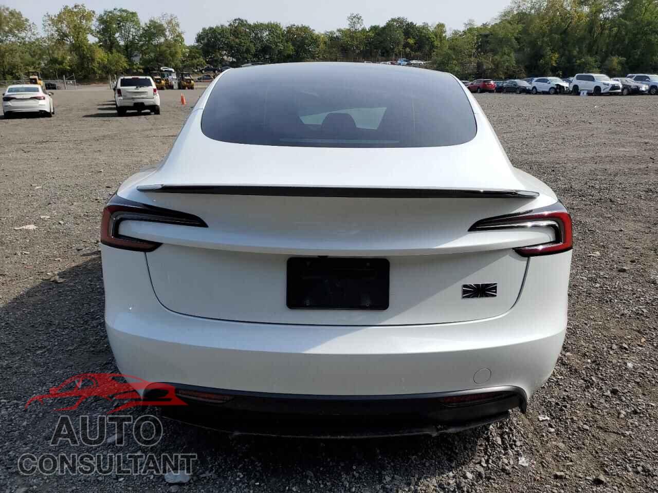 TESLA MODEL 3 2024 - 5YJ3E1ETXRF796195