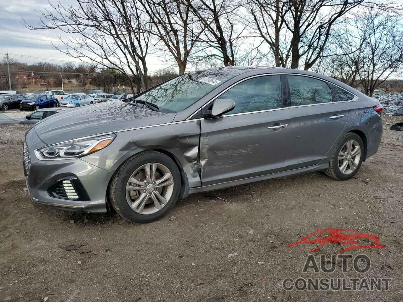 HYUNDAI SONATA 2019 - 5NPE34AFXKH802925