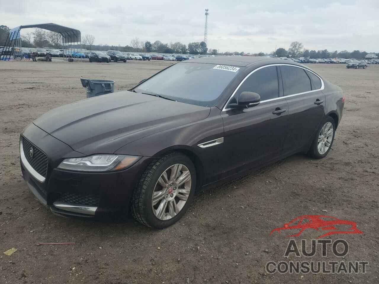 JAGUAR XF 2017 - SAJBD4BV1HCY27546
