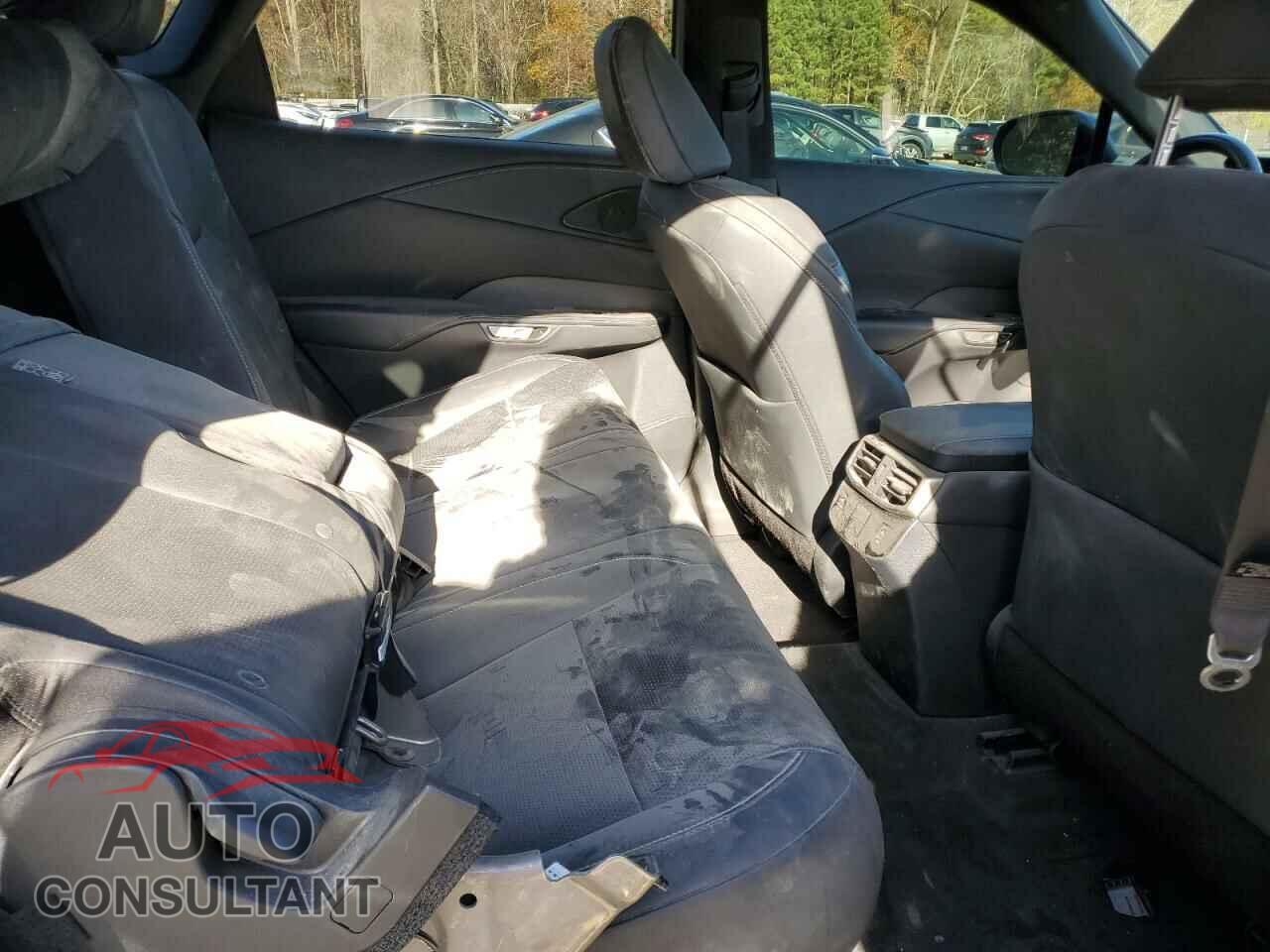 LEXUS RX350 2023 - 2T2BAMCA7PC003202