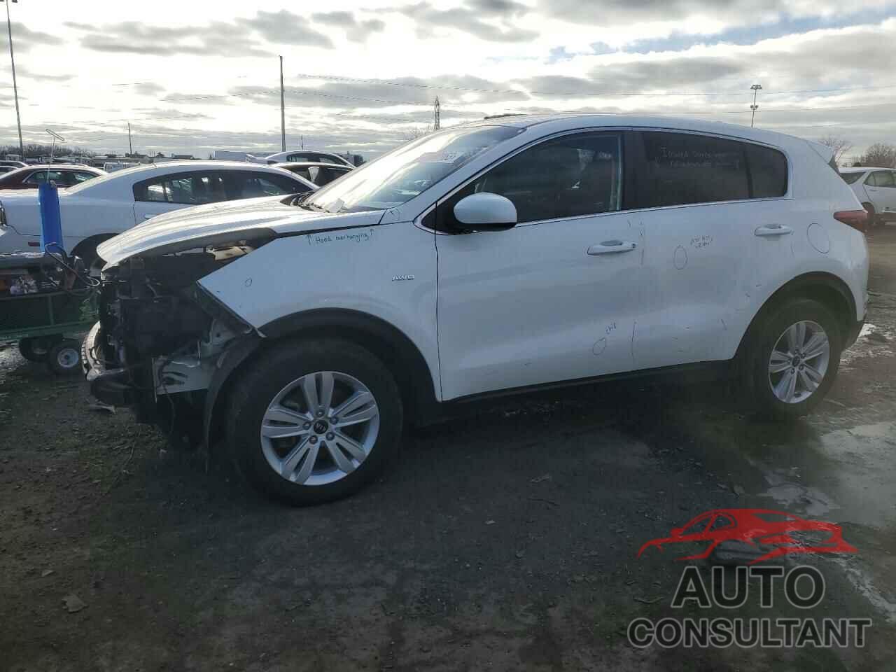 KIA SPORTAGE 2019 - KNDPMCAC9K7616397
