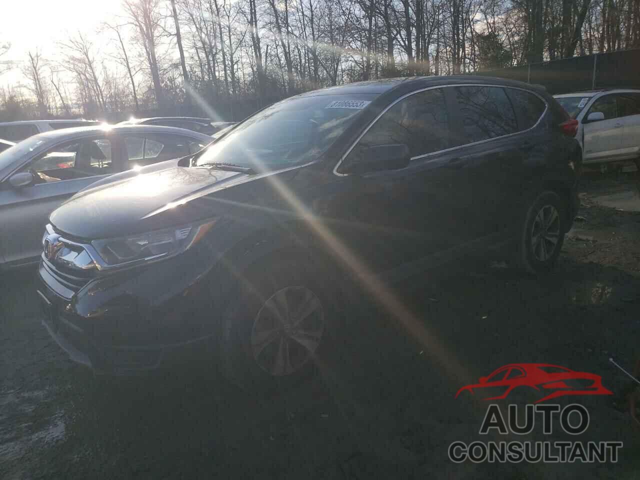 HONDA CRV 2019 - 2HKRW6H34KH221050