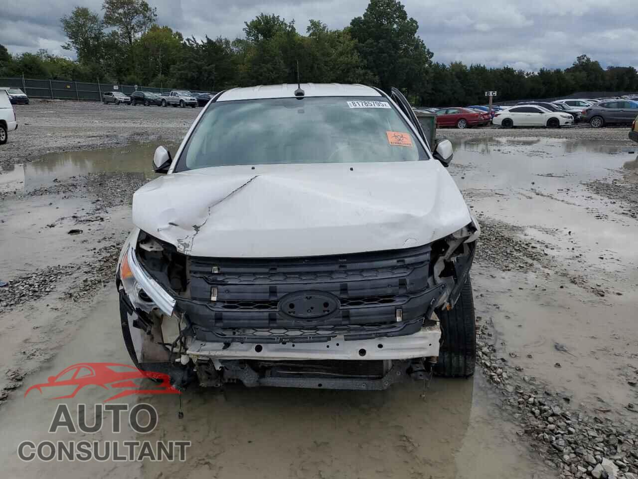 FORD EDGE 2013 - 2FMDK3KC8DBB93891