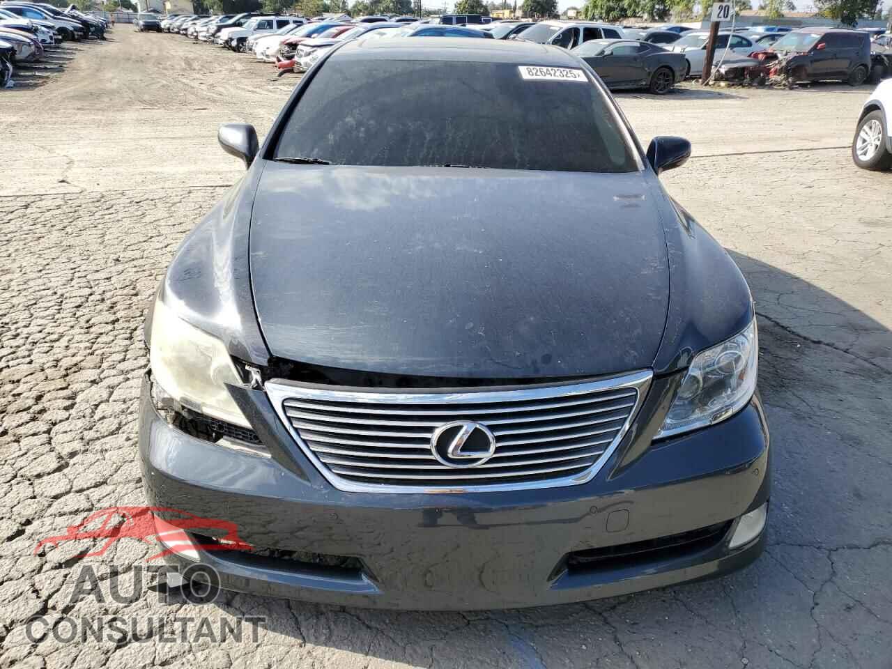 LEXUS LS460 2009 - JTHCL46F995002562
