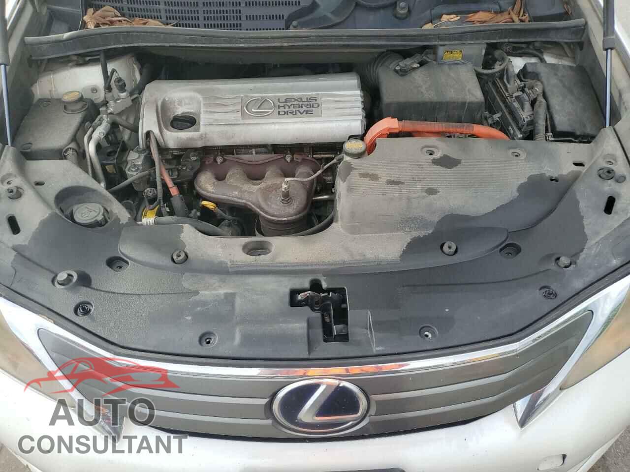 LEXUS HS 2010 - JTHBB1BA7A2037436