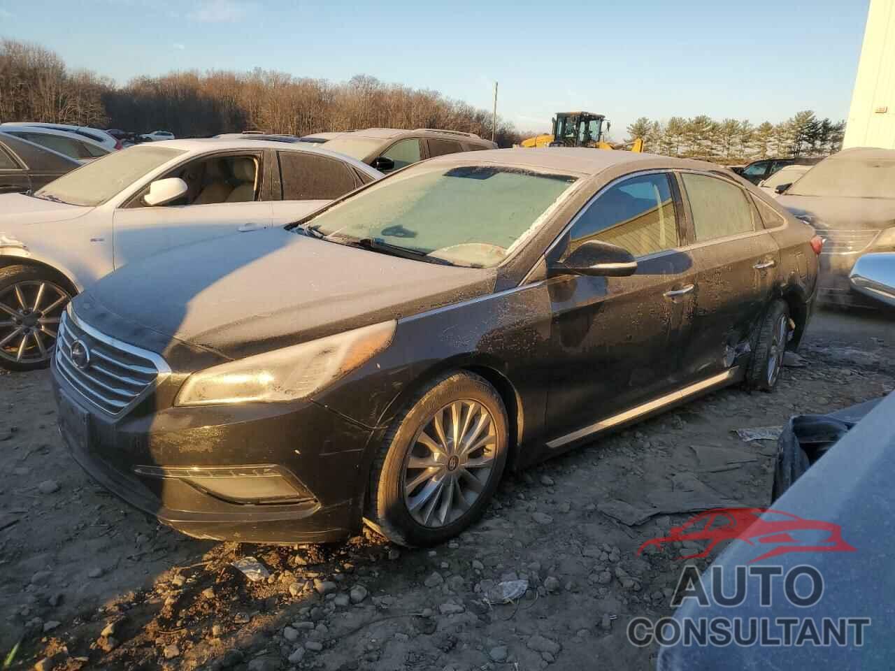 HYUNDAI SONATA 2017 - 5NPE34AF1FH090116