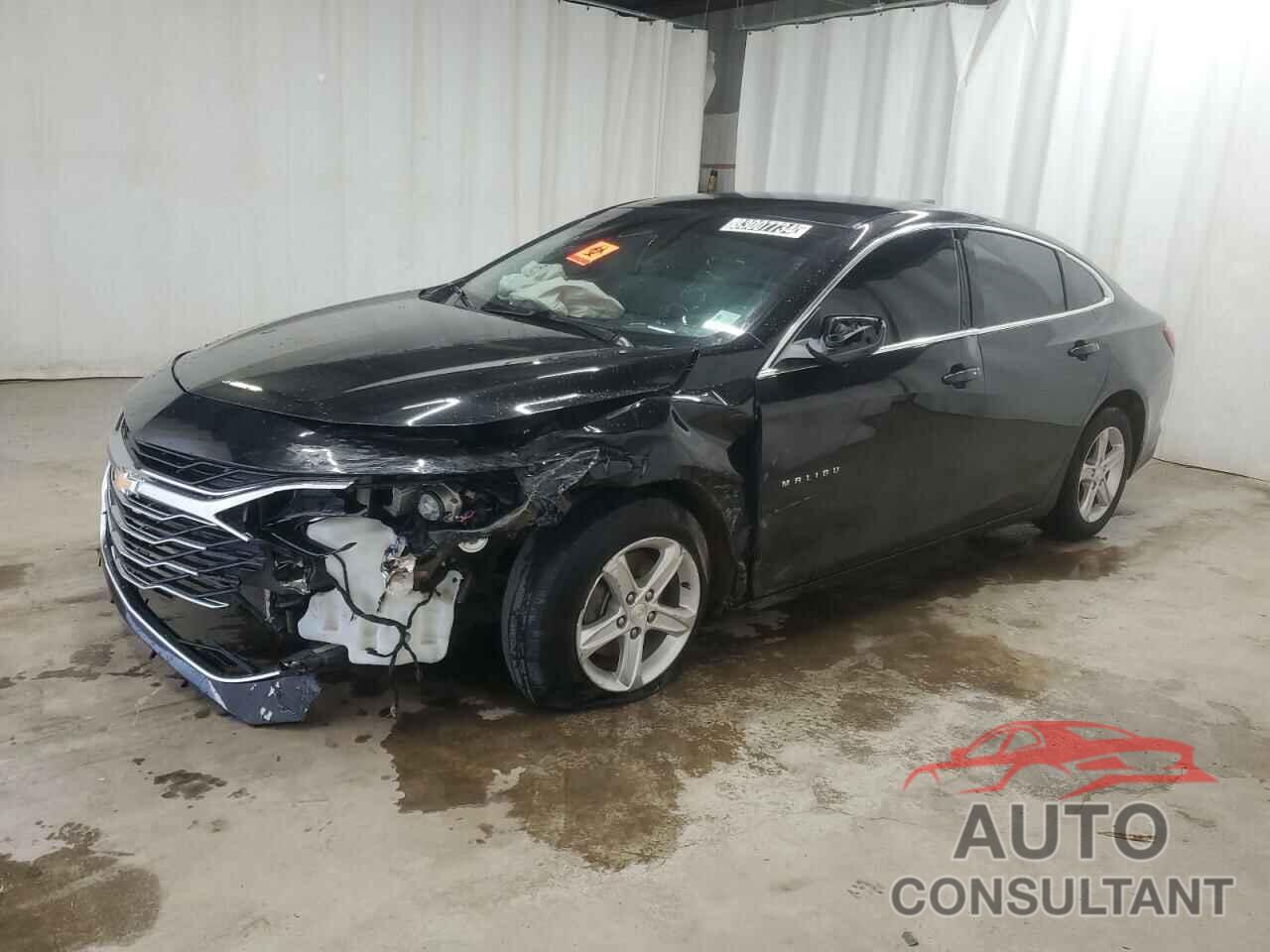 CHEVROLET MALIBU 2019 - 1G1ZC5ST1KF172579