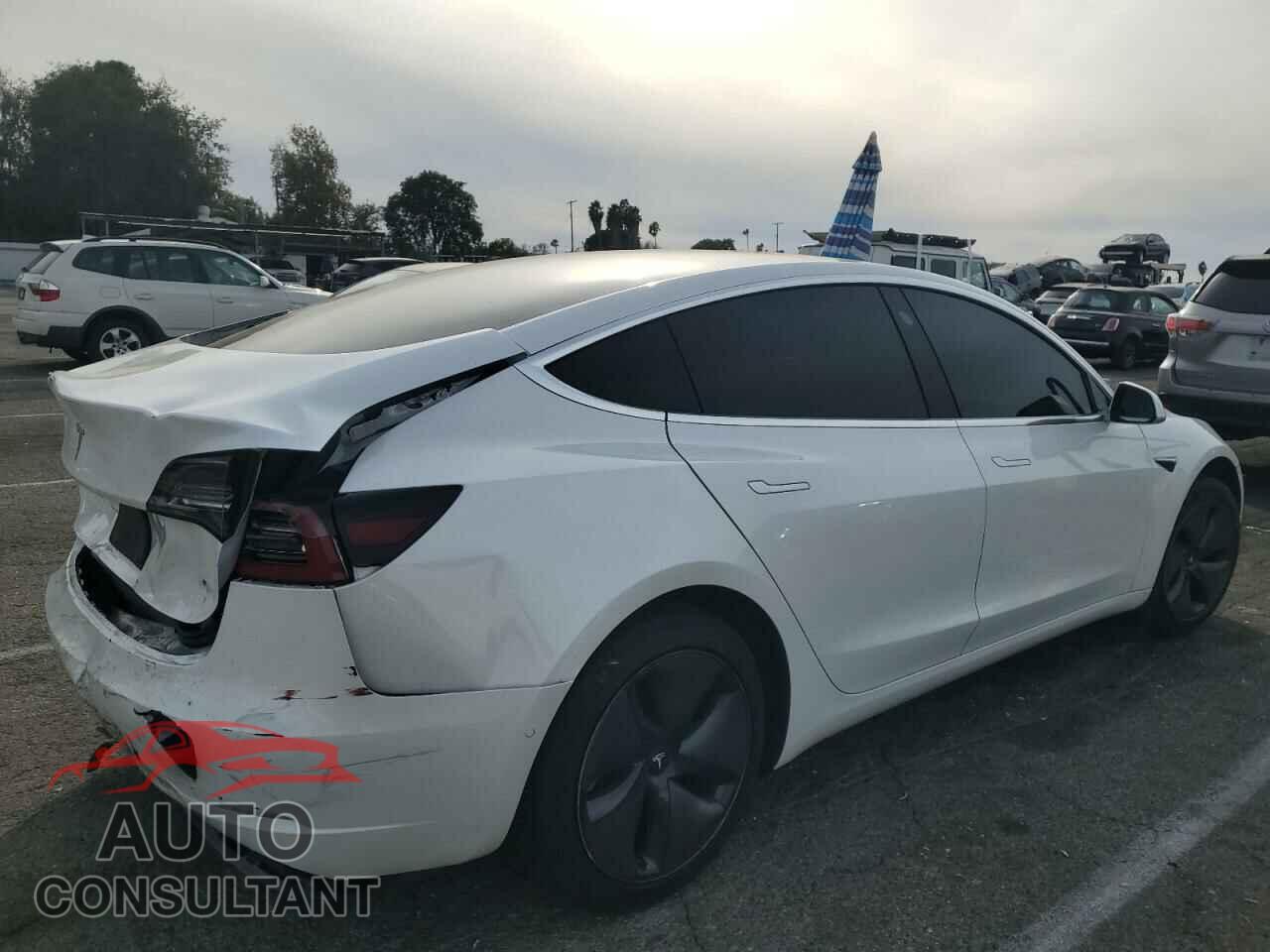 TESLA MODEL 3 2020 - 5YJ3E1EA1LF631299