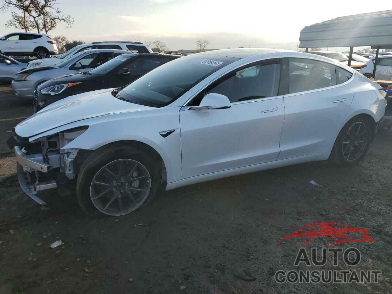 TESLA MODEL 3 2019 - 5YJ3E1EB1KF511882