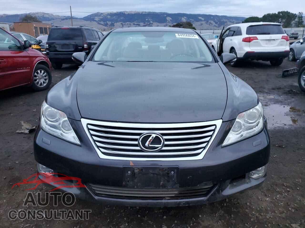 LEXUS LS460 2010 - JTHBL5EF6A5096102