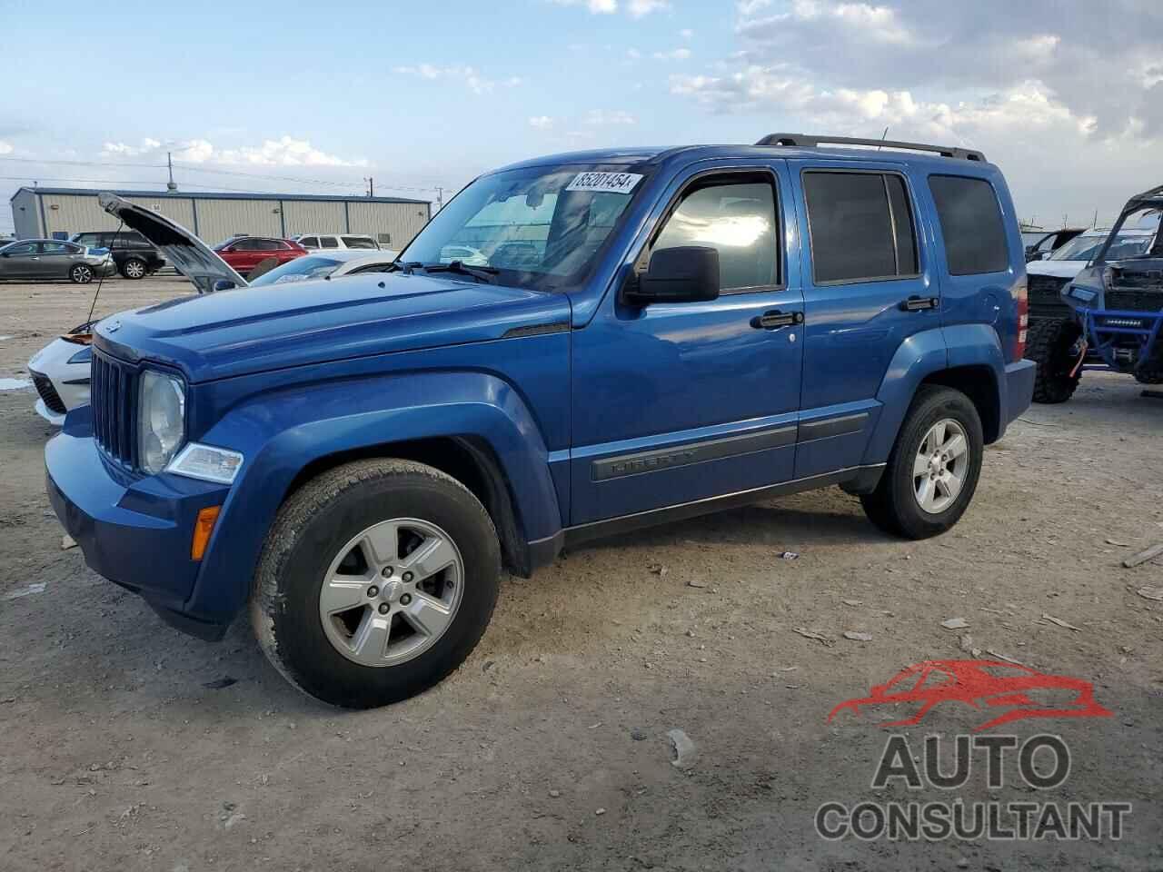 JEEP LIBERTY 2009 - 1J8GP28K69W513302