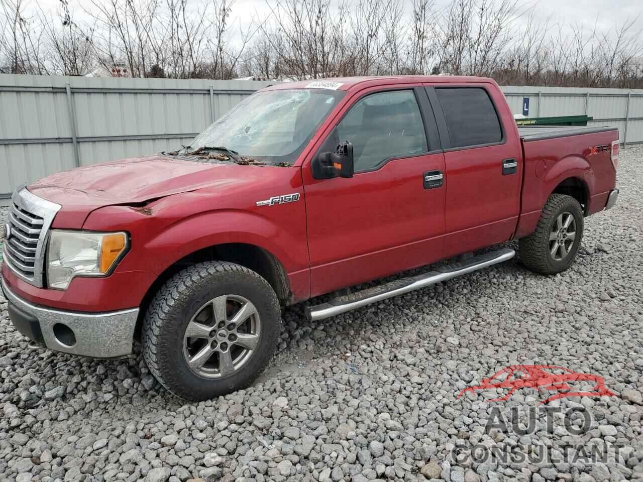 FORD F-150 2010 - 1FTEW1E8XAFD90161