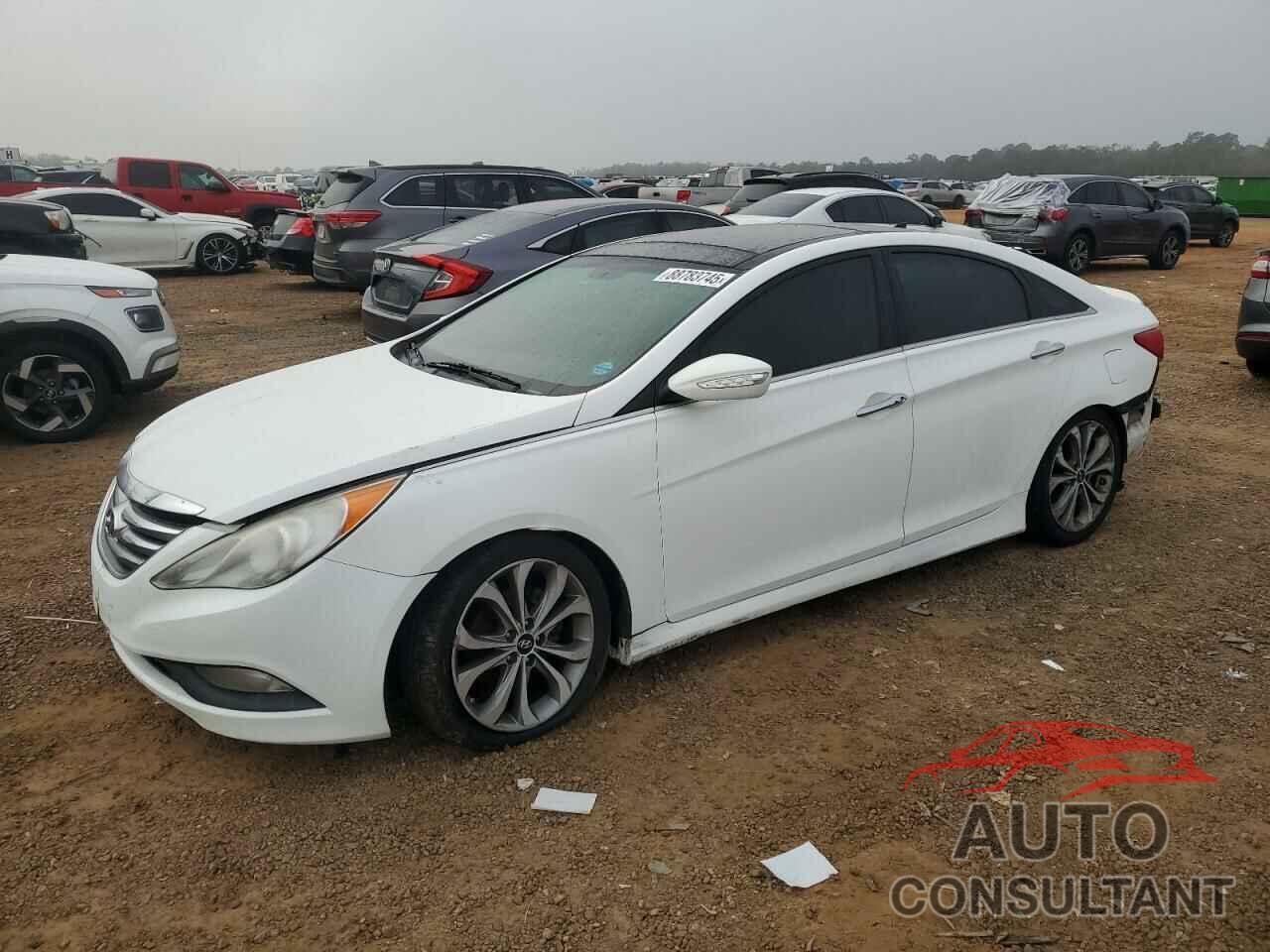 HYUNDAI SONATA 2014 - 5NPEC4AB1EH830582