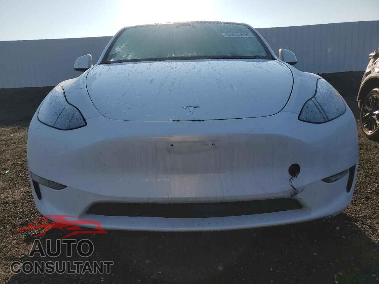 TESLA MODEL Y 2024 - 7SAYGDED6RF044698