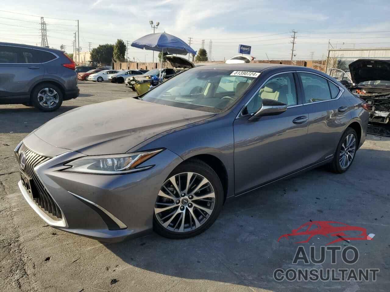 LEXUS ES300 2021 - 58ADA1C13MU002563