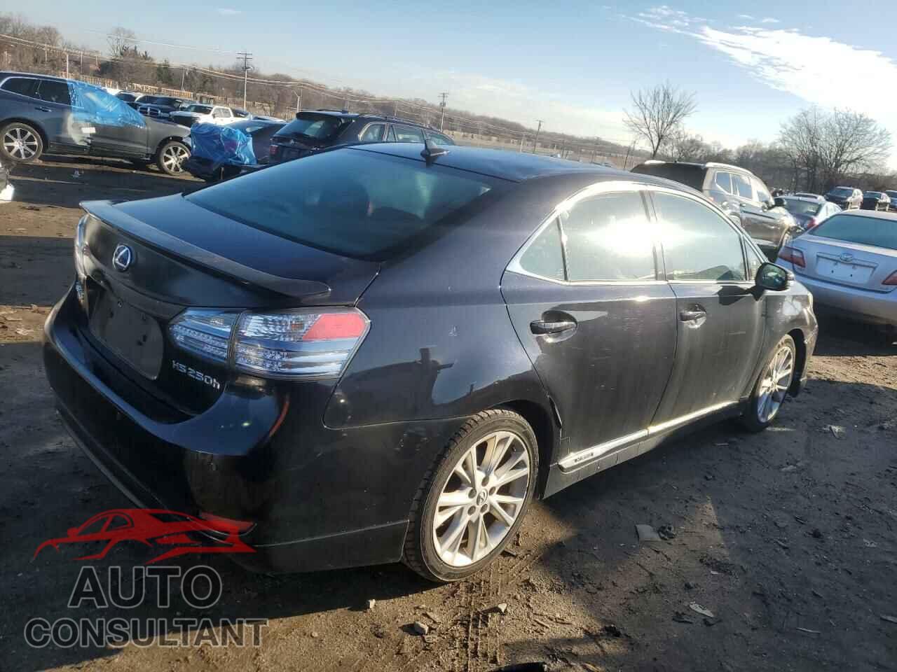 LEXUS HS 2010 - JTHBB1BA8A2018491