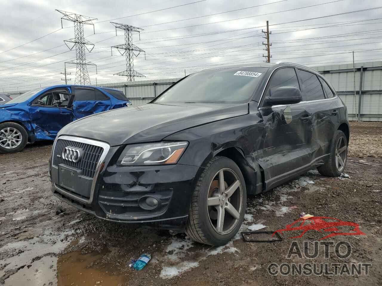 AUDI Q5 2011 - WA1LFAFPXBA022181