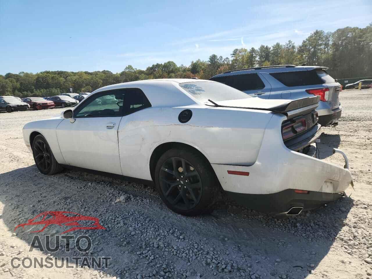 DODGE CHALLENGER 2019 - 2C3CDZAG2KH503923