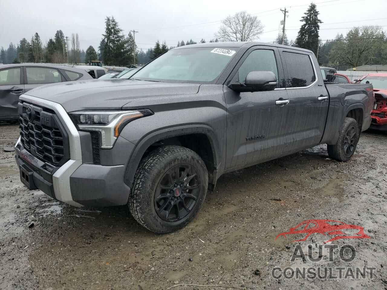 TOYOTA TUNDRA 2023 - 5TFJA5EC9PX013851