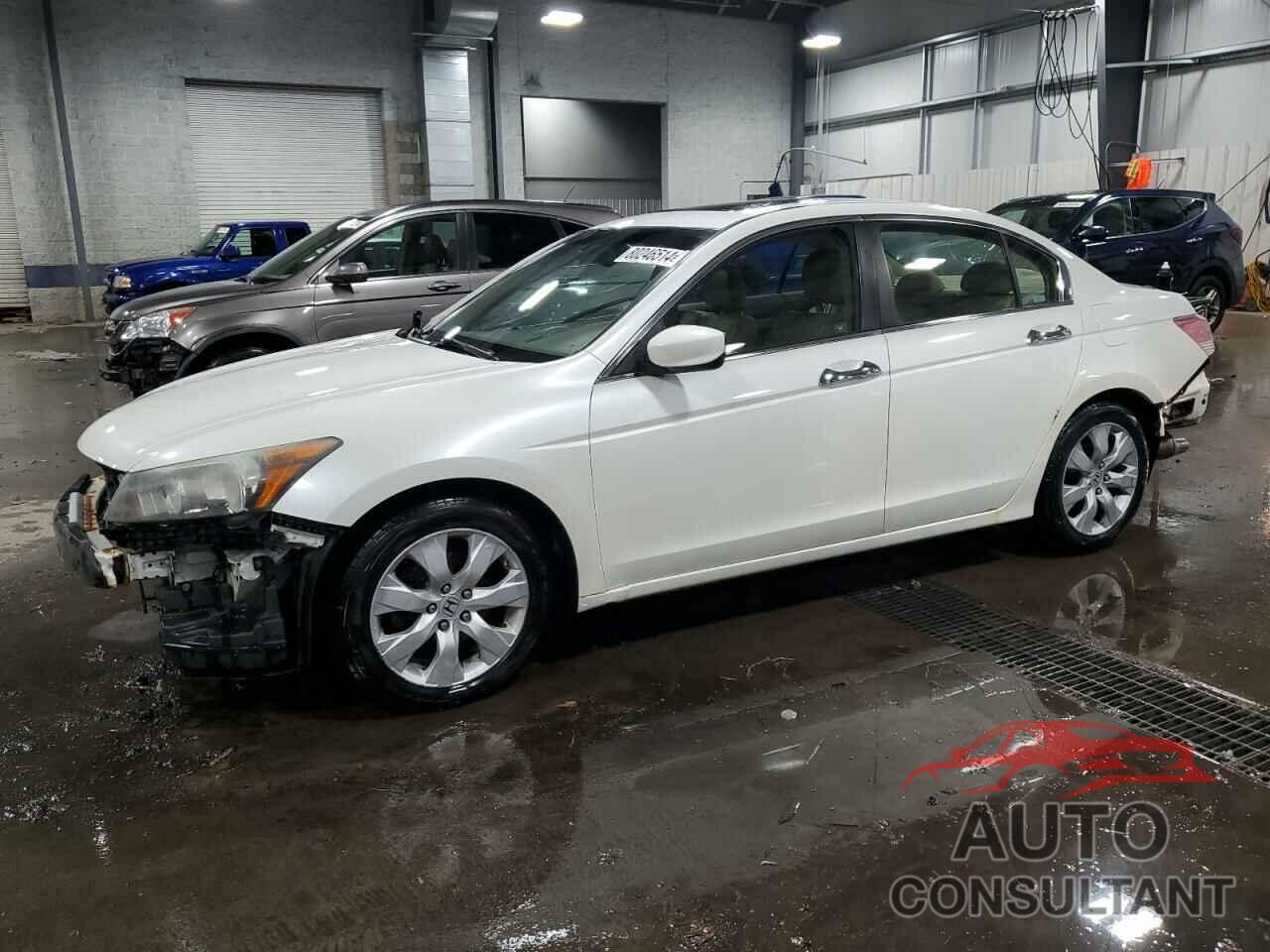 HONDA ACCORD 2009 - 1HGCP36829A004762