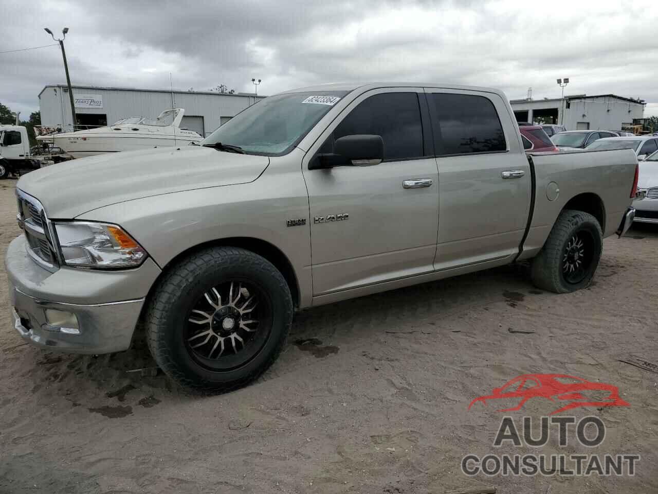 DODGE All Models 2010 - 1D7RB1CT2AS194748
