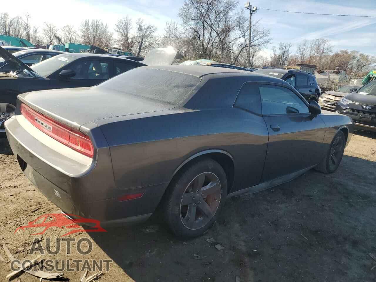 DODGE CHALLENGER 2013 - 2C3CDYAG4DH646076