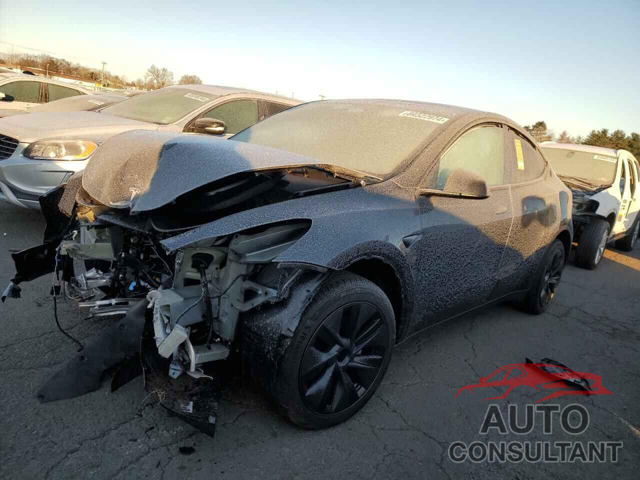 TESLA MODEL Y 2025 - 7SAYGAEE1SF218433