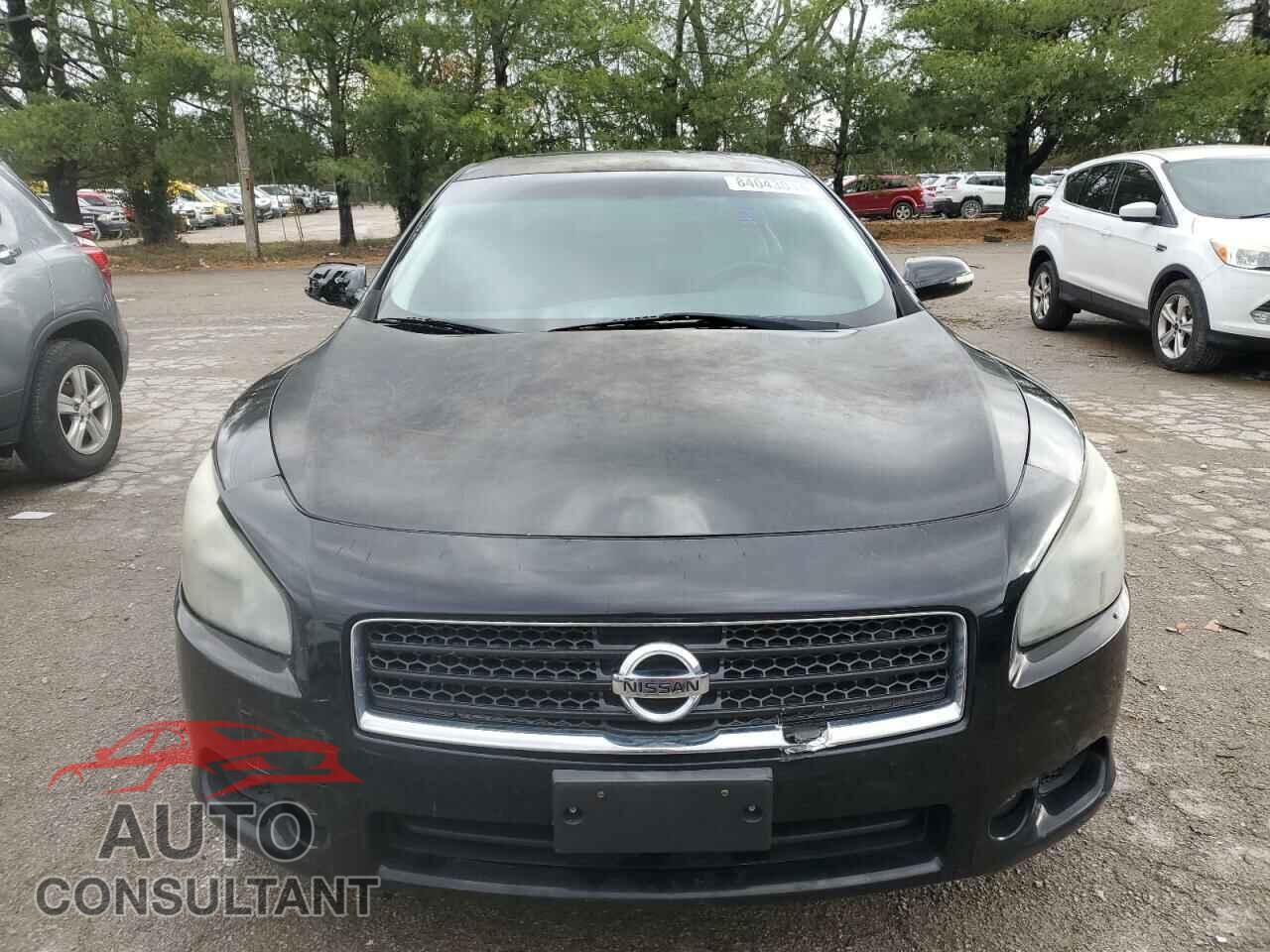 NISSAN MAXIMA 2011 - 1N4AA5AP2BC808237