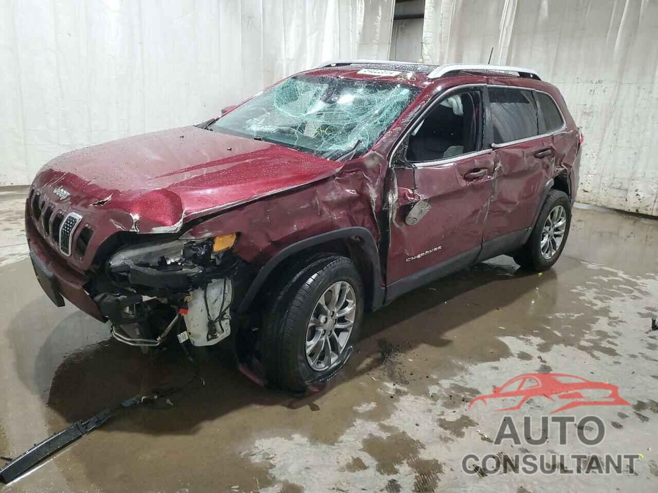 JEEP GRAND CHER 2019 - 1C4PJMLX4KD447096