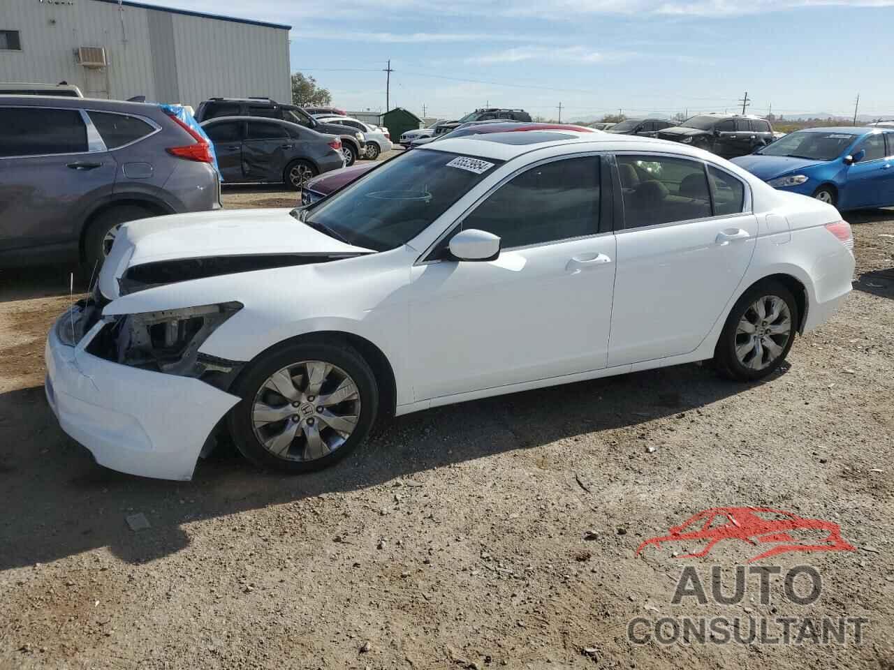 HONDA ACCORD 2010 - 1HGCP2F77AA195519