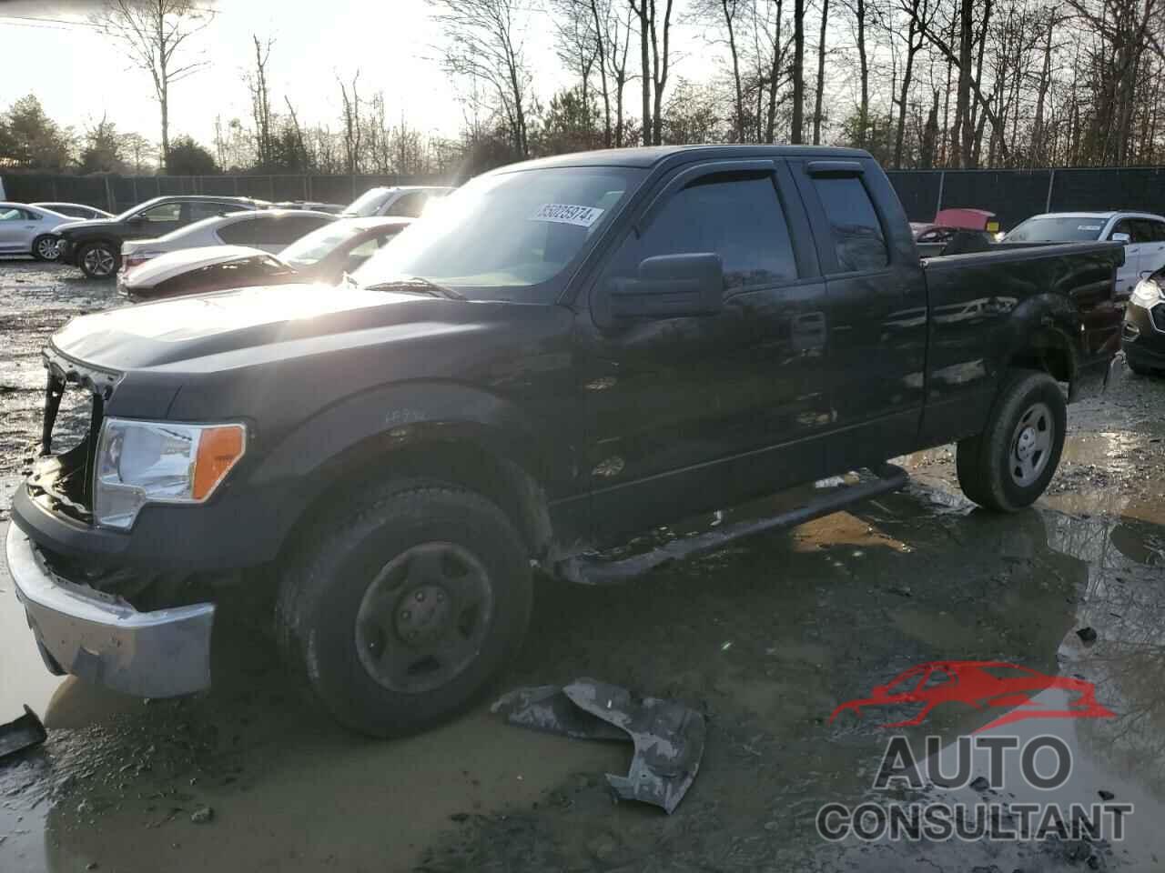 FORD F-150 2010 - 1FTEX1CW7AKE10288